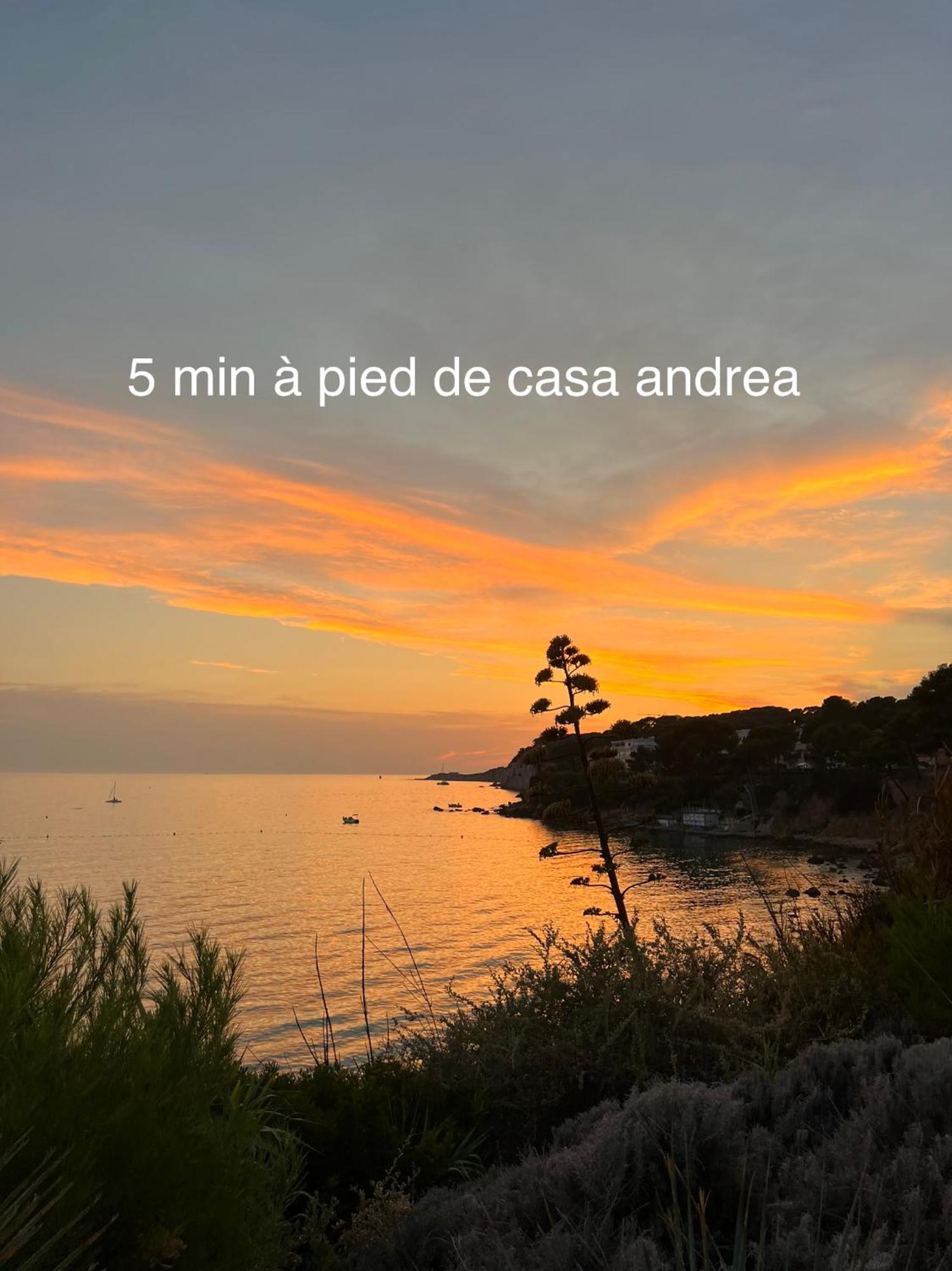 Casa Andrea Appartement Tout A Pied Avec Grand Jardin Sanary-sur-Mer Exterior photo